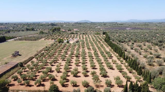 3 bedroom Finca/Country House for sale in Ulldecona with pool garage - € 365,000 (Ref: 9184318)