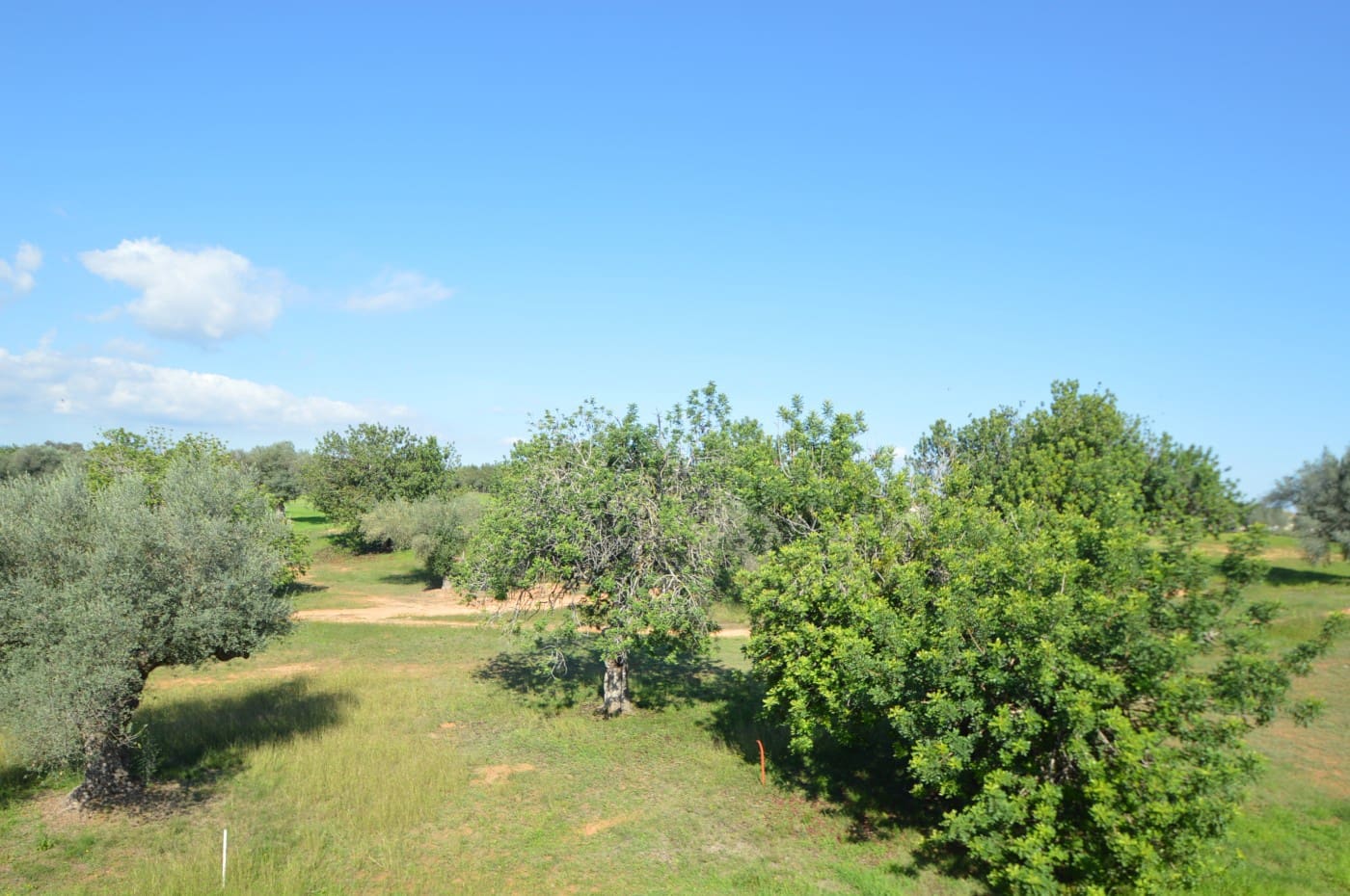 2 soveværelse Lejlighed til salg i Sant Jordi med swimmingpool garage - € 125.000 (Ref: 9283941)