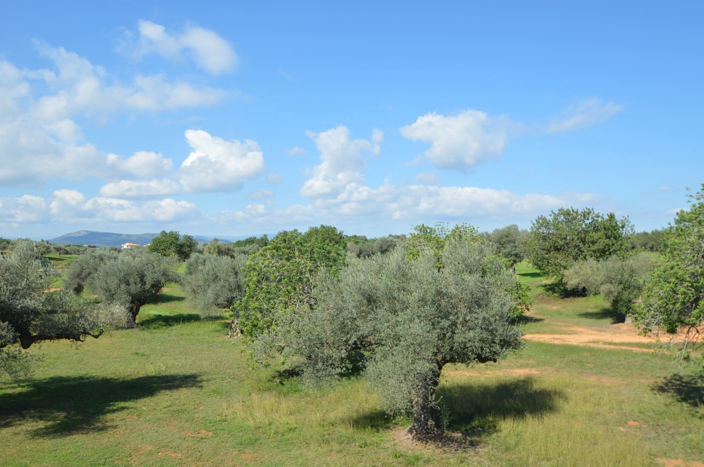 2 soveværelse Lejlighed til salg i Sant Jordi med swimmingpool garage - € 125.000 (Ref: 9283941)
