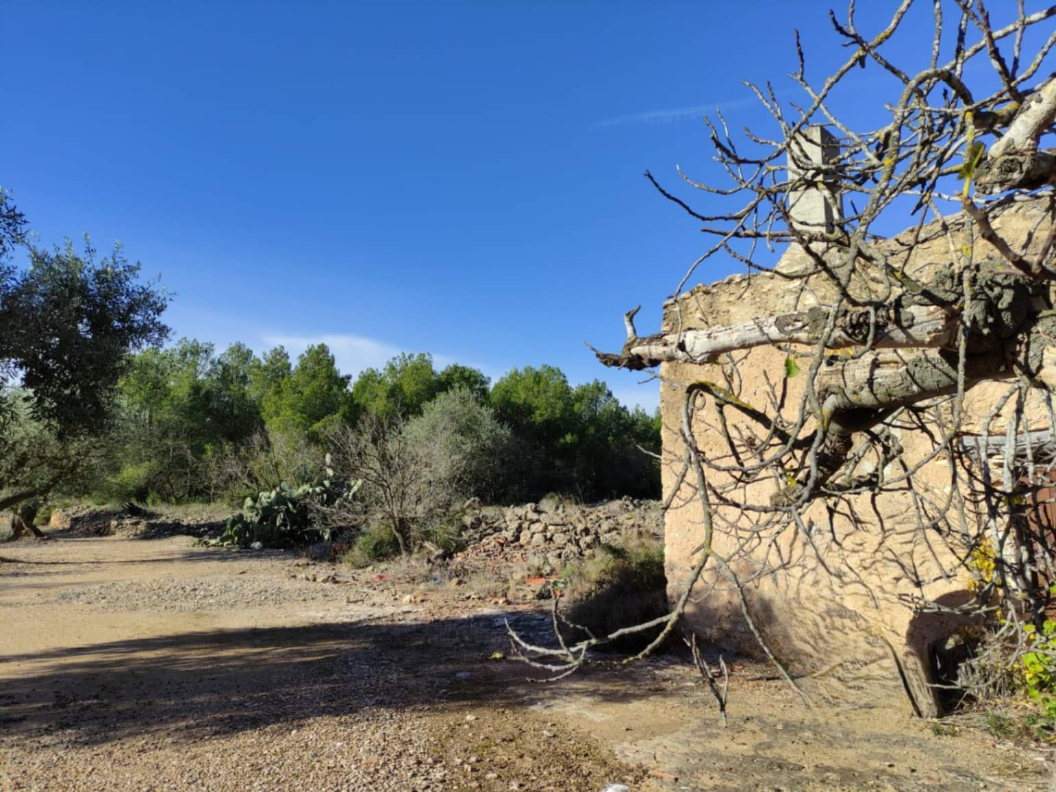 Finca/Landhuis te koop in Traiguera - € 45.000 (Ref: 9335600)