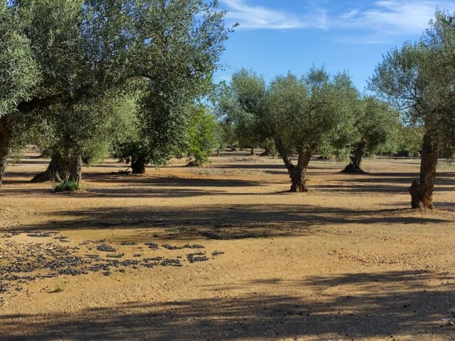 Finca/Country House for sale in Traiguera - € 45,000 (Ref: 9335600)