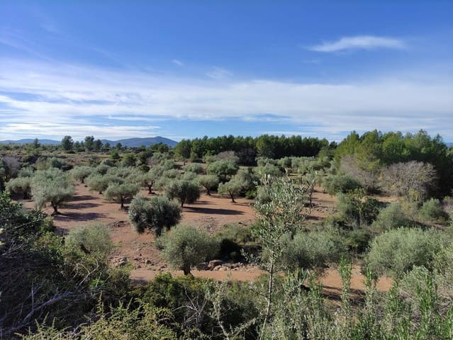 Finca/Country House for sale in Traiguera - € 45,000 (Ref: 9335600)