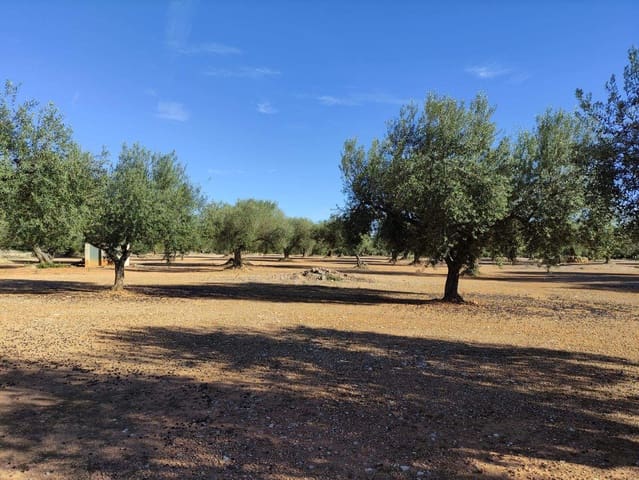 Finca/Country House for sale in Traiguera - € 45,000 (Ref: 9335600)