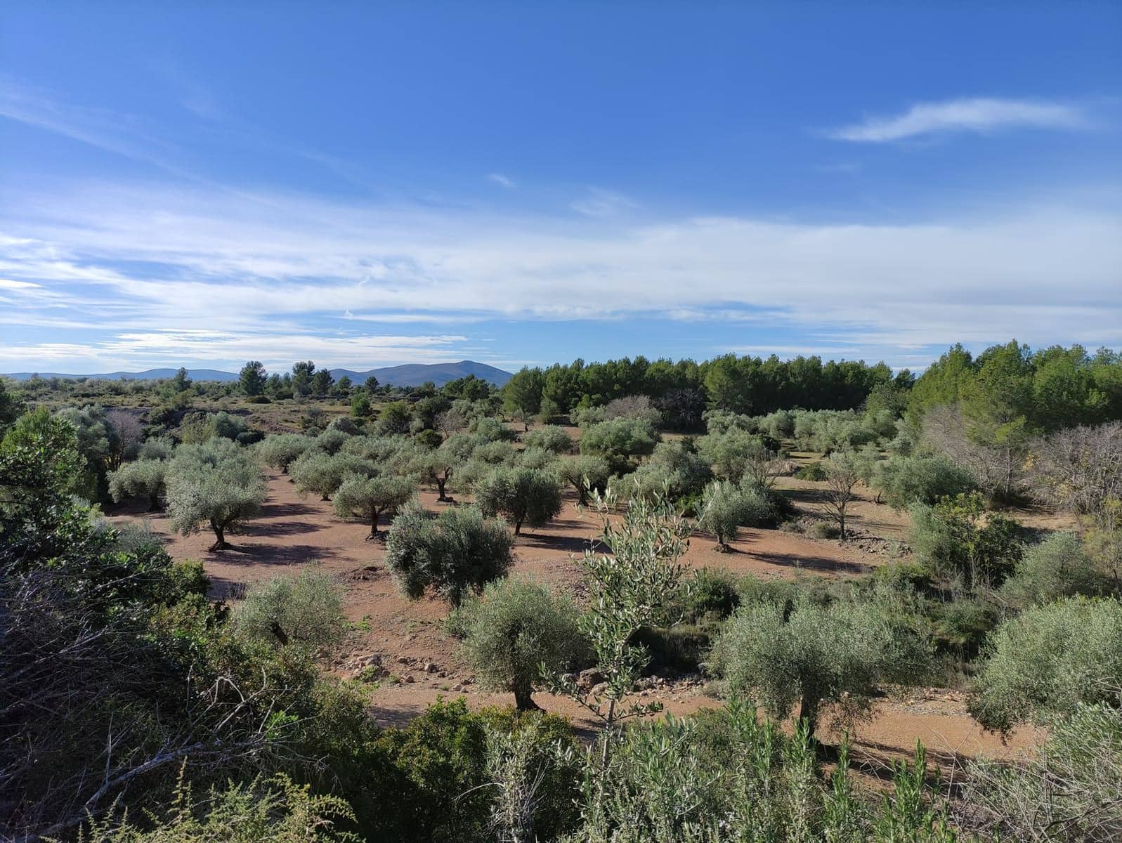 Finca/Landhuis te koop in Traiguera - € 45.000 (Ref: 9335600)