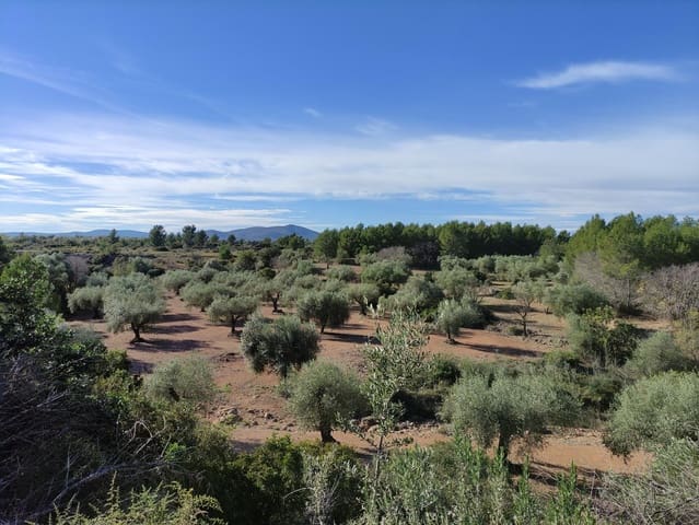 Finca/Country House for sale in Traiguera - € 45,000 (Ref: 9335600)