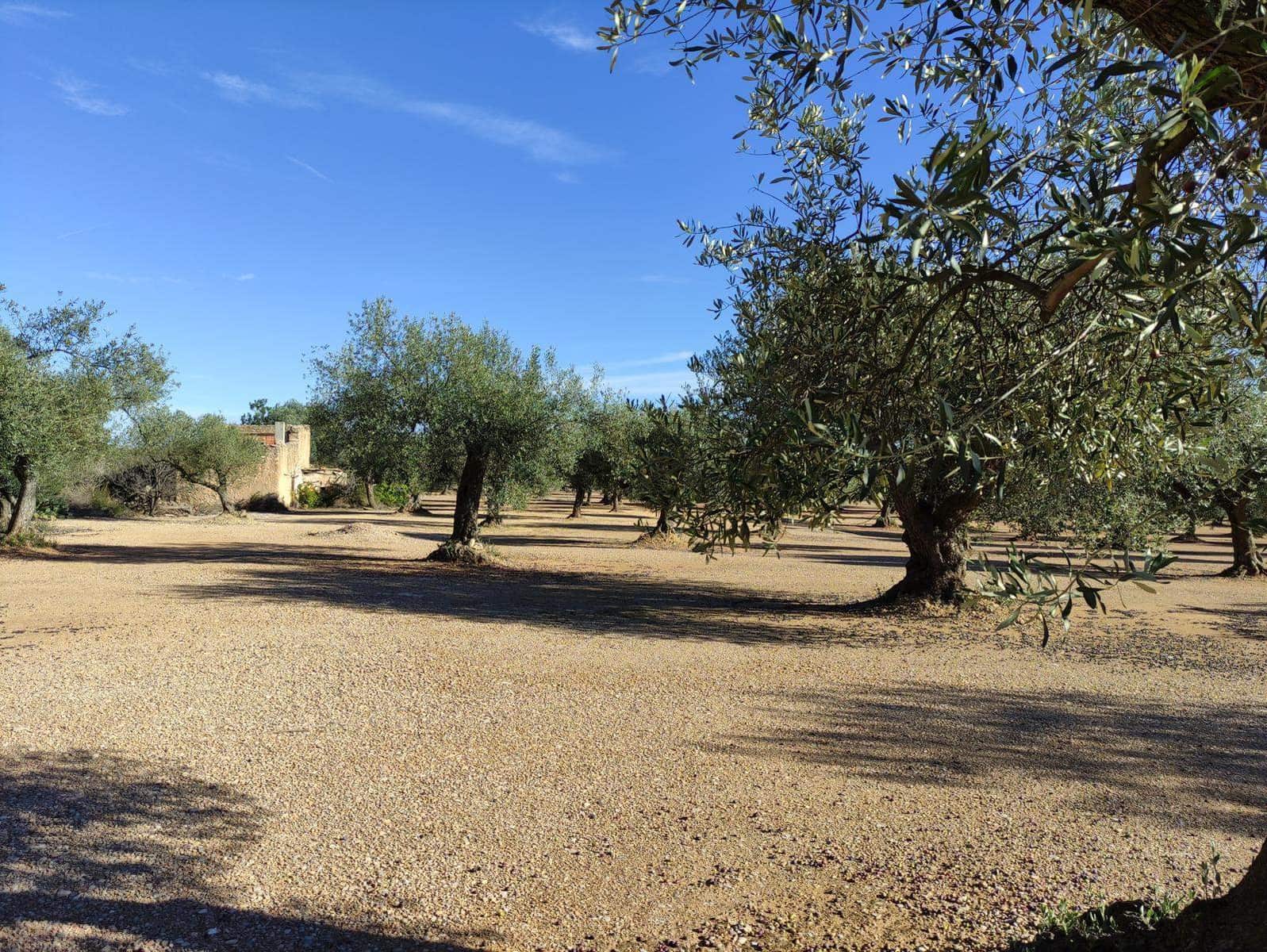 Finca/Landhuis te koop in Traiguera - € 45.000 (Ref: 9335600)