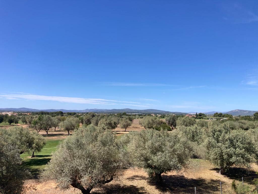 2 Zimmer Apartment zu verkaufen in Sant Jordi mit Pool Garage - 125.000 € (Ref: 9352124)