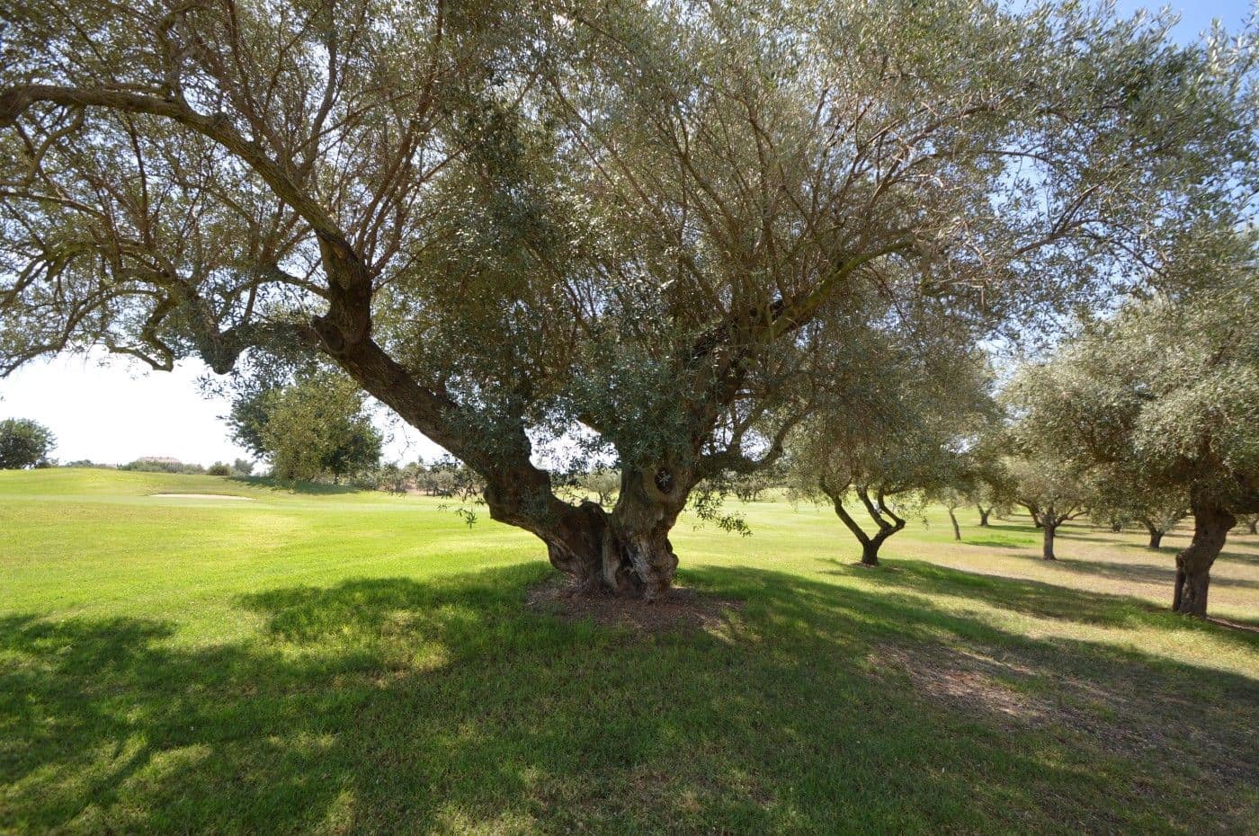 2 Zimmer Apartment zu verkaufen in Sant Jordi mit Pool Garage - 125.000 € (Ref: 9352124)