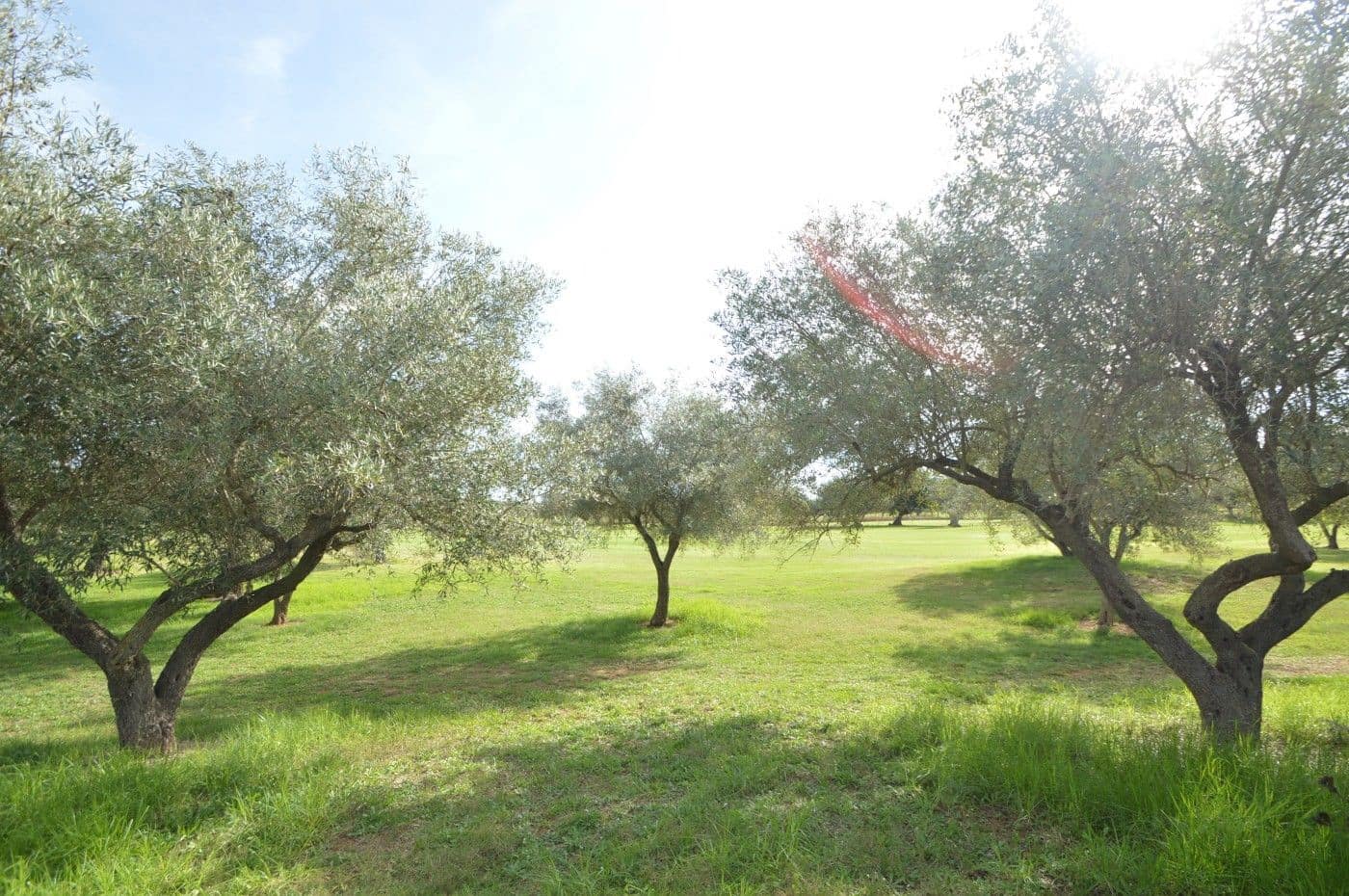 2 makuuhuone Huoneisto myytävänä paikassa Sant Jordi mukana uima-altaan 
autotalli - 135 000 € (Ref: 9354523)