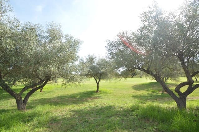 2 slaapkamer Appartement te koop in Sant Jordi met zwembad garage - € 135.000 (Ref: 9354523)