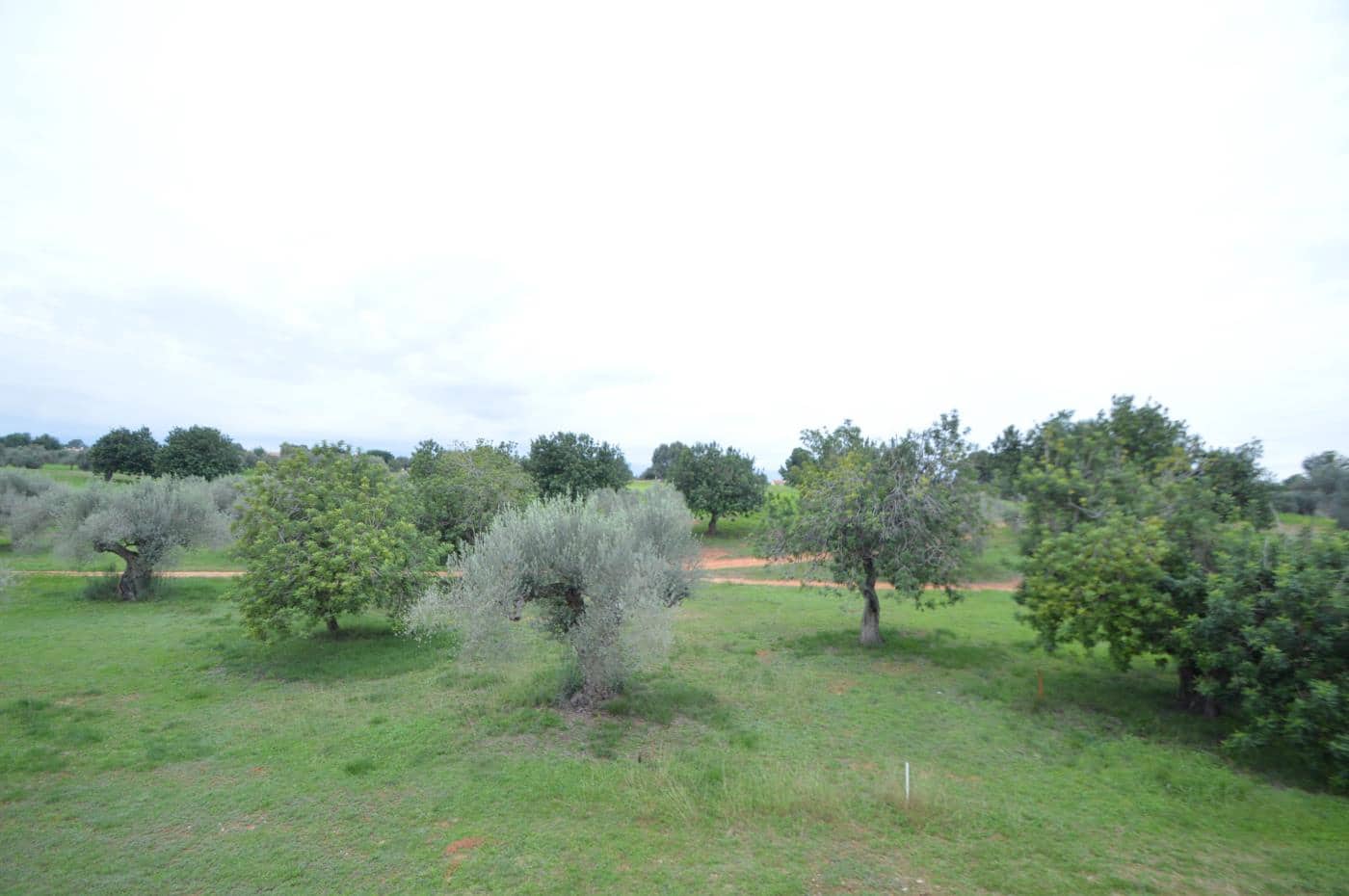 2 slaapkamer Appartement te koop in Sant Jordi met zwembad garage - € 125.000 (Ref: 9355323)