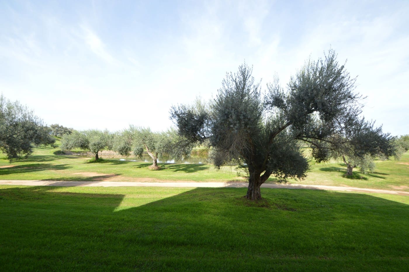 2 slaapkamer Appartement te koop in Sant Jordi met zwembad garage - € 125.000 (Ref: 9355323)