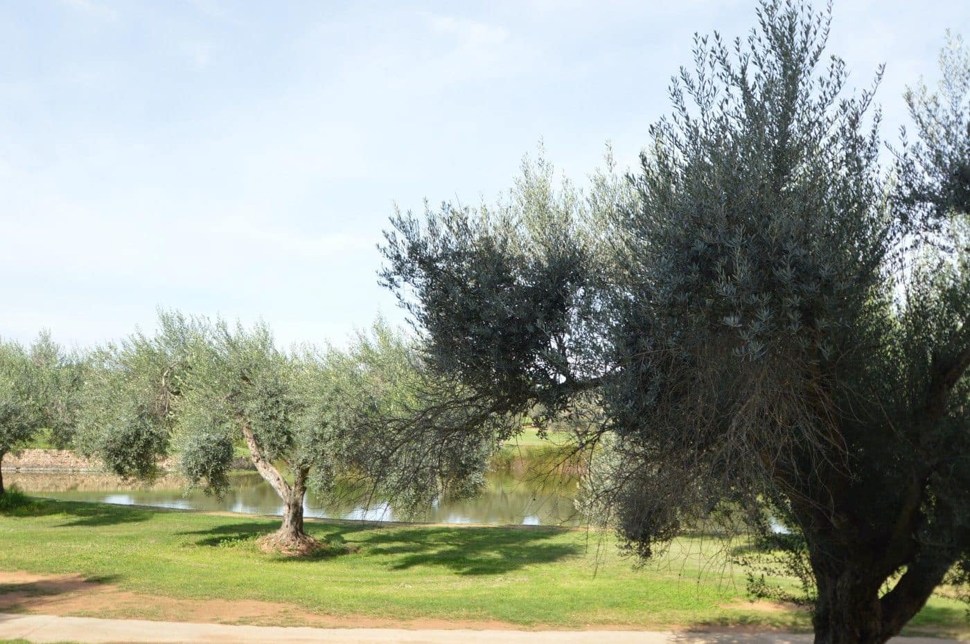 2 slaapkamer Appartement te koop in Sant Jordi met zwembad garage - € 125.000 (Ref: 9355323)