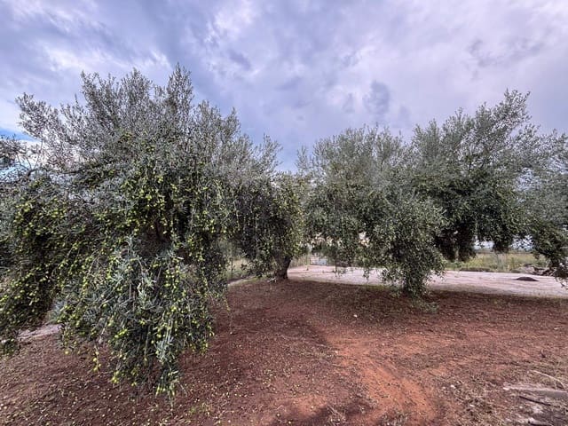 6 soverom Villa til salgs i Vinaròs med svømmebasseng garasje - € 400 000 (Ref: 9453627)