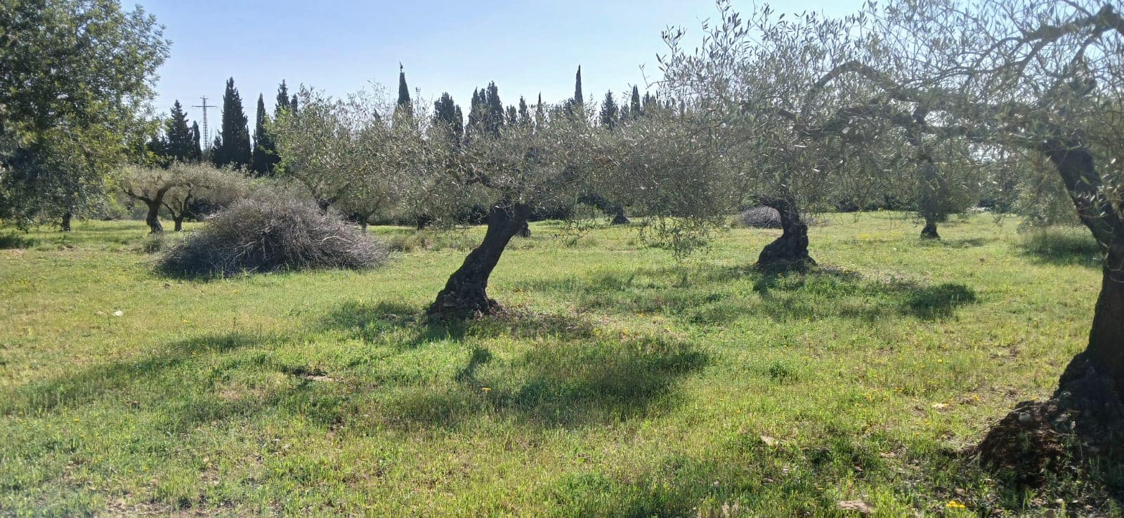 Finca/Casa Rural en Vinaròs en venta - 69.000 € (Ref: 9491875)