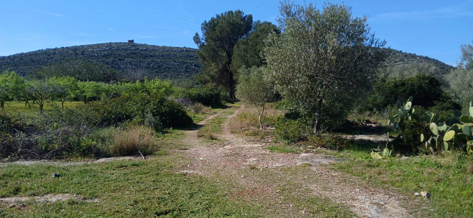 Finca/Casa Rural en Vinaròs en venta - 69.000 € (Ref: 9491875)