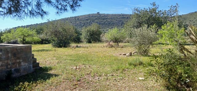 Finca/Casa Rural en Vinaròs en venta - 69.000 € (Ref: 9491875)
