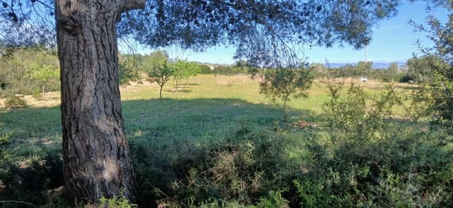 Finca/Casa Rural en Vinaròs en venta - 69.000 € (Ref: 9491875)