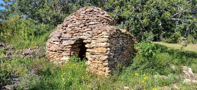 Finca/Casa Rural en Vinaròs en venta - 69.000 € (Ref: 9491875)