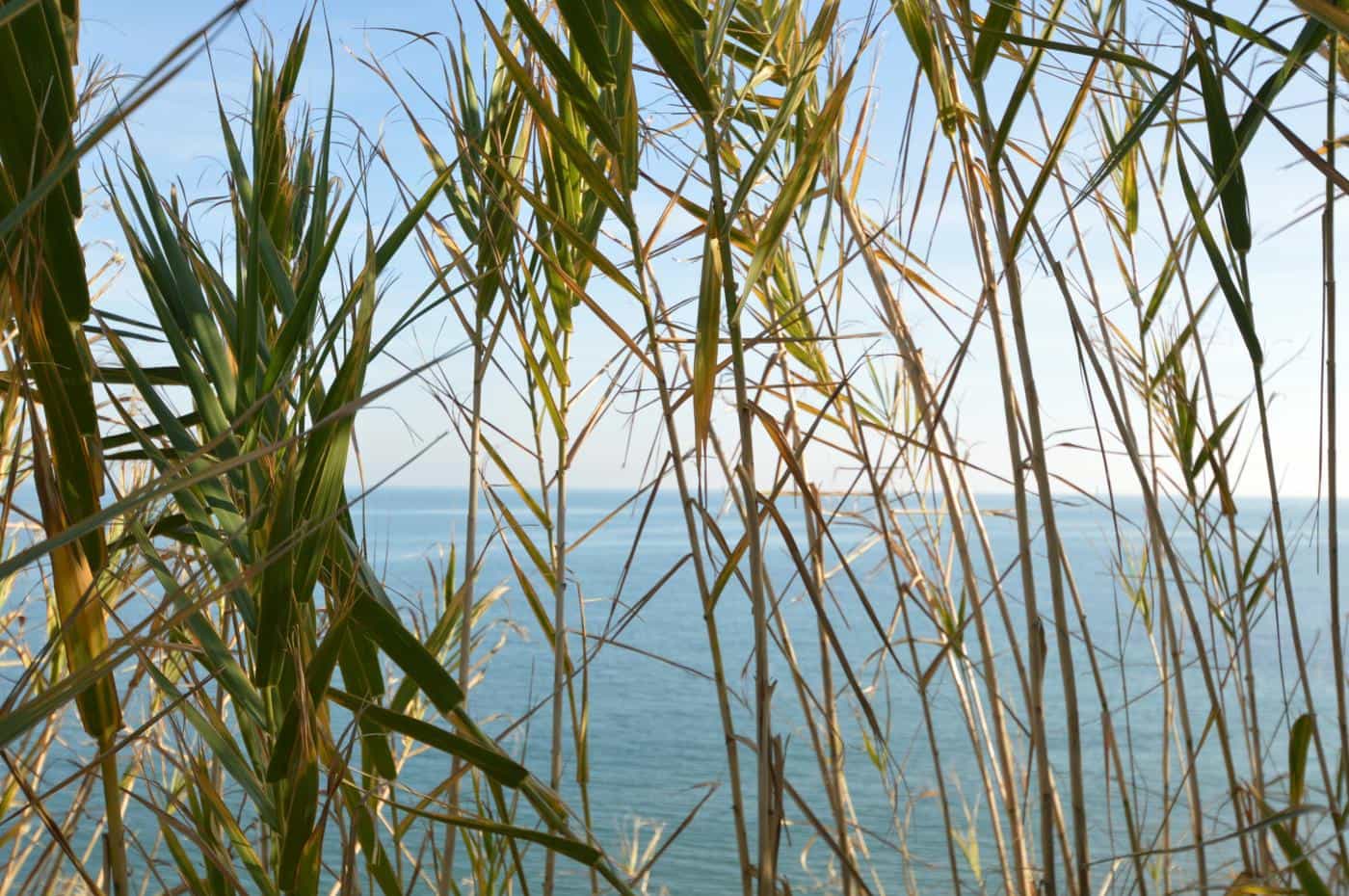 Building Plot for sale in Vinaros - € 40,000 (Ref: 9590459)