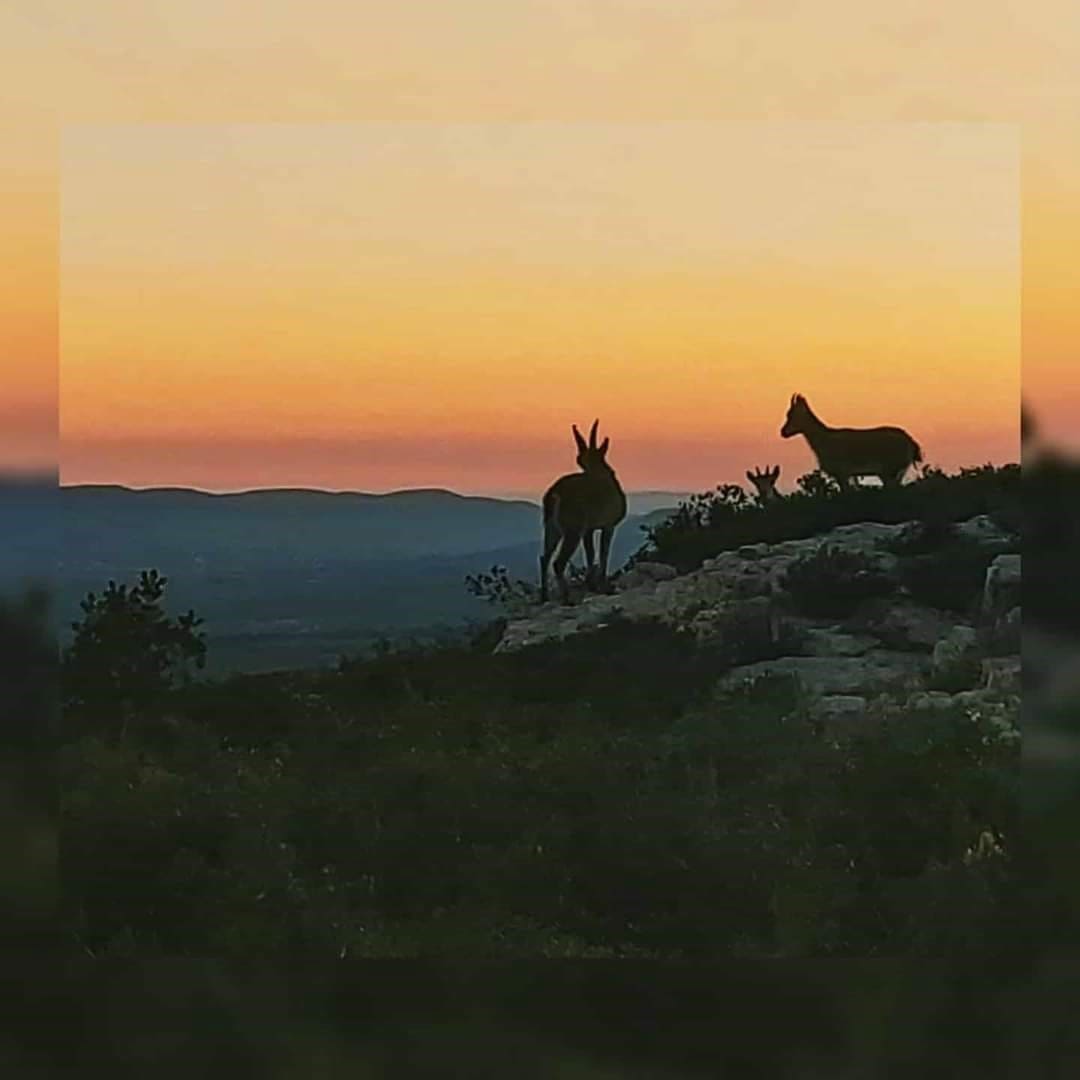 2 bedroom Townhouse for sale in Chert / Xert - € 95,000 (Ref: 9737272)