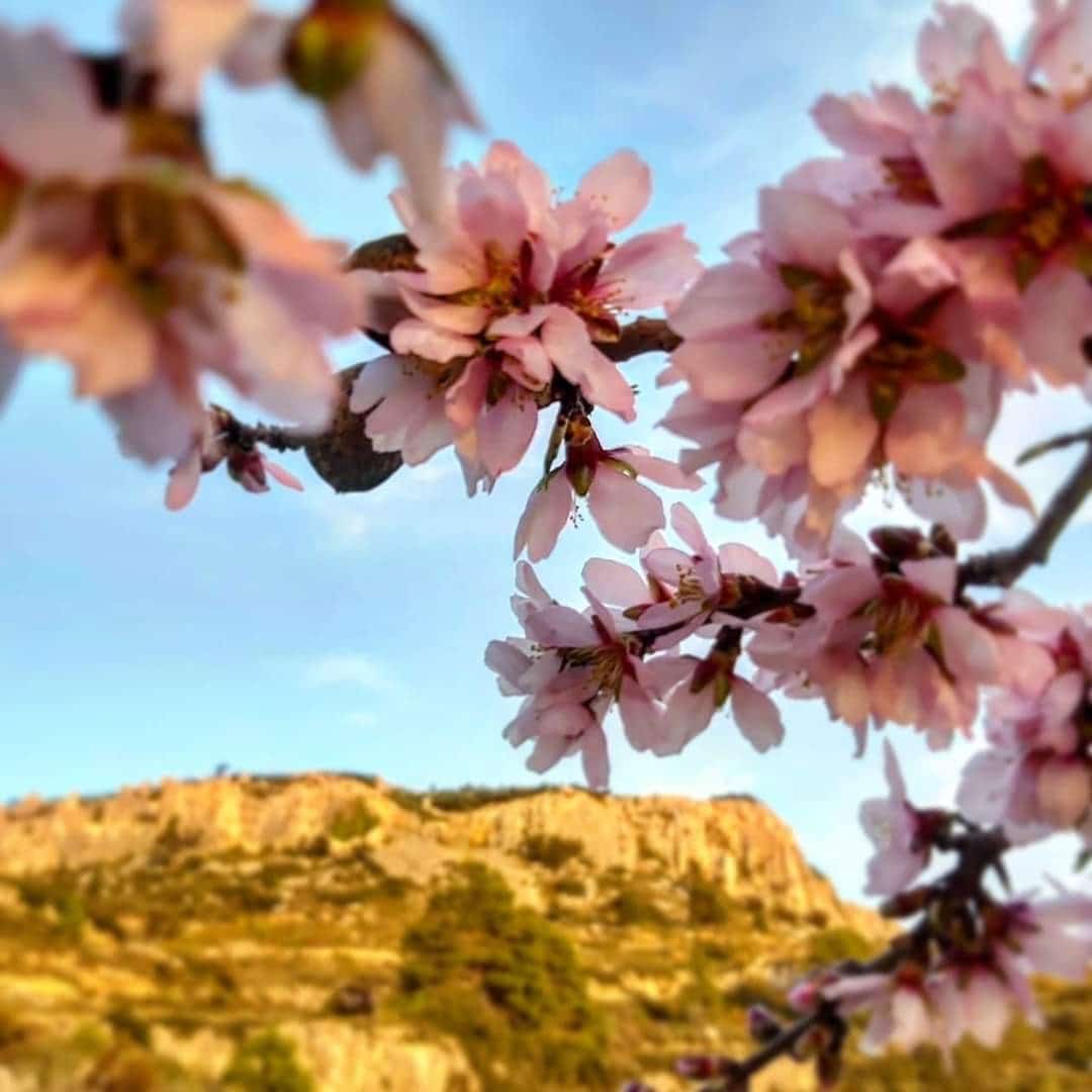 2 bedroom Townhouse for sale in Chert / Xert - € 95,000 (Ref: 9737272)