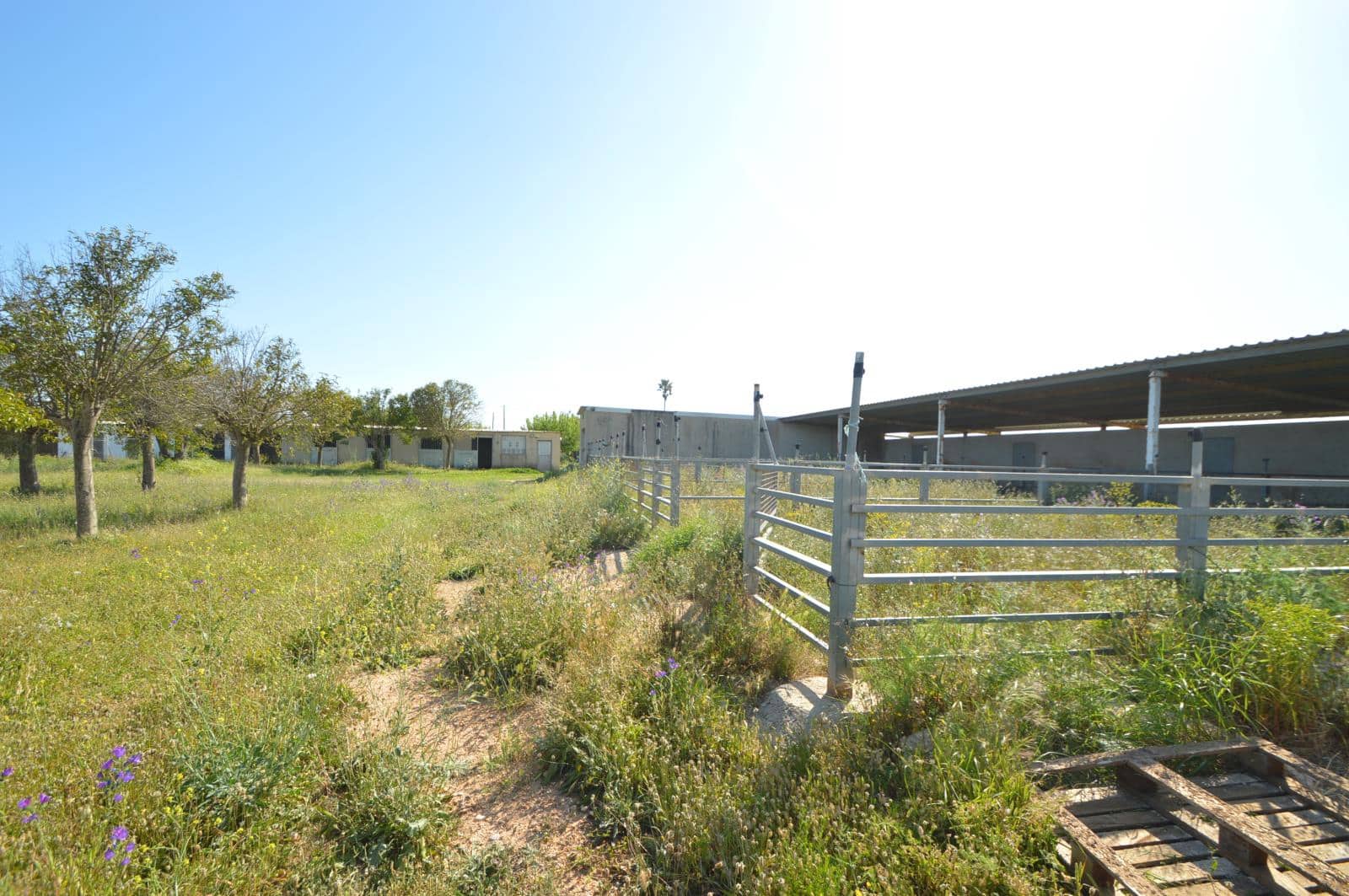 4 camera da letto Finca/Casa di Campagna in vendita in Vinaros con garage - 310.000 € (Rif: 9805670)