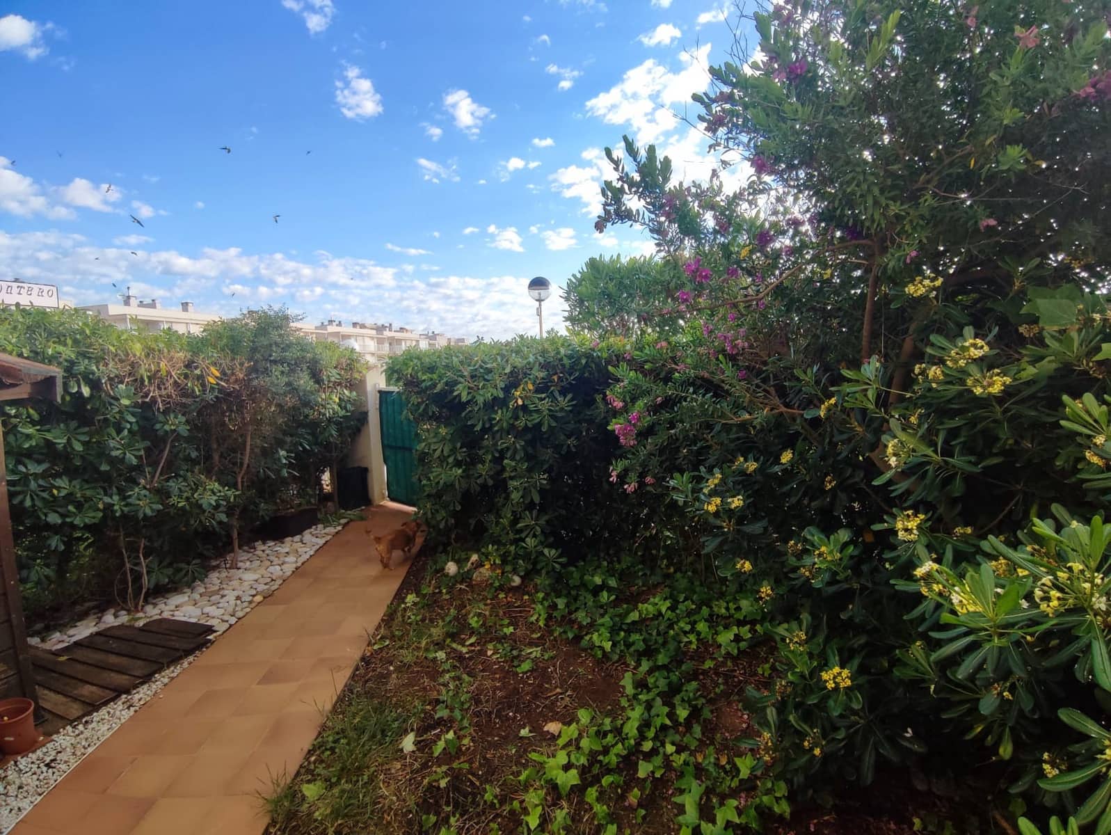 2 bedroom Apartment for sale in Vinaros with pool garage - € 215,000 (Ref: 9824150)