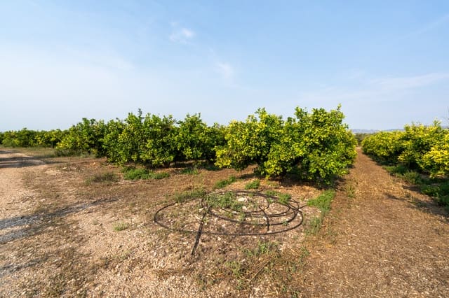 Finca/Hus på landet till salu i Santa Bàrbara - 53 500 € (Ref: 10019800)