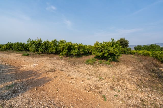 Finca/Hus på landet till salu i Santa Bàrbara - 53 500 € (Ref: 10019800)