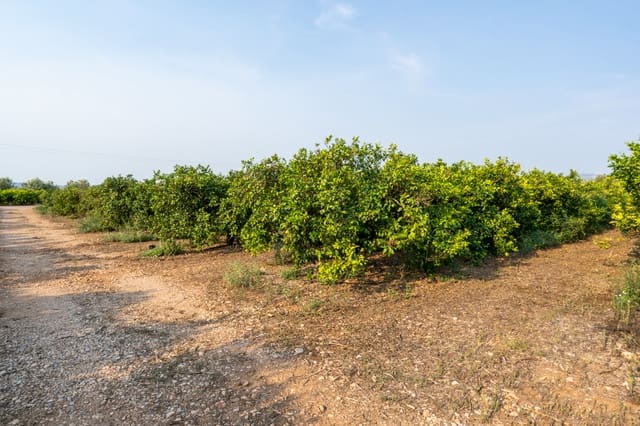 Finca/Hus på landet till salu i Santa Bàrbara - 53 500 € (Ref: 10019800)