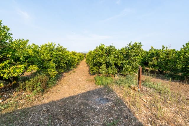Finca/Hus på landet till salu i Santa Bàrbara - 53 500 € (Ref: 10019800)