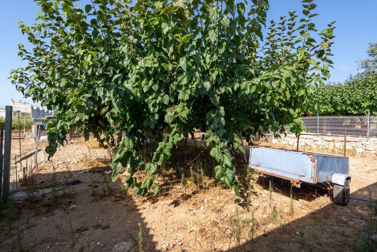 2 chambre Finca/Maison de Campagne à vendre à Les Cases d'Alcanar - 107 000 € (Ref: 10024459)