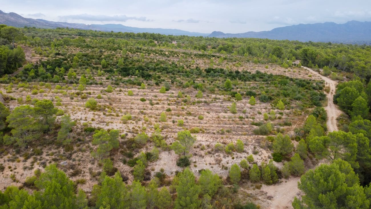 Finca/Landgut zu verkaufen in Aldover - 180.000 € (Ref: 10038546)