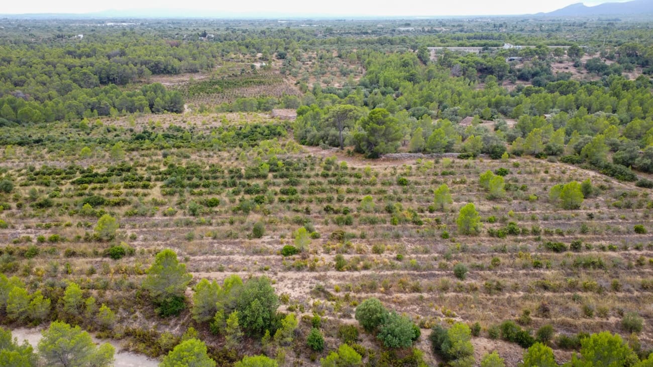Finca/Landgut zu verkaufen in Aldover - 180.000 € (Ref: 10038546)