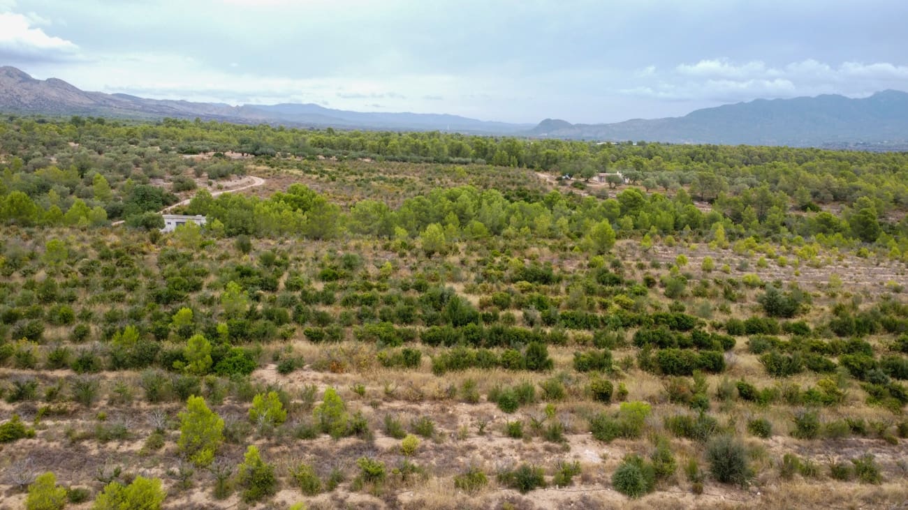 Finca/Landgut zu verkaufen in Aldover - 180.000 € (Ref: 10038546)