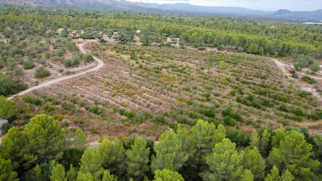 Finca/Landgut zu verkaufen in Aldover - 180.000 € (Ref: 10038546)