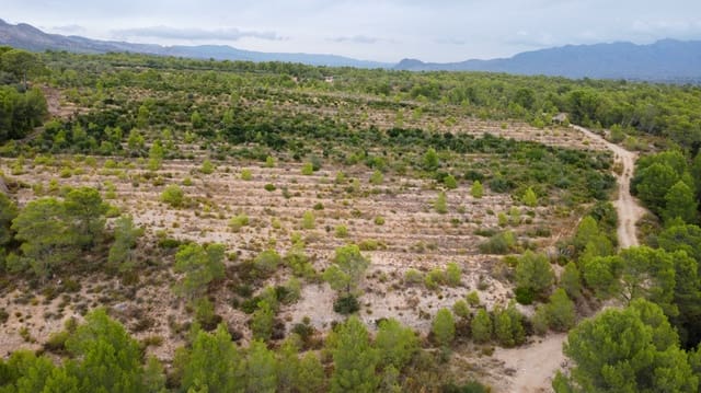 Finca/Landgut zu verkaufen in Aldover - 180.000 € (Ref: 10038546)