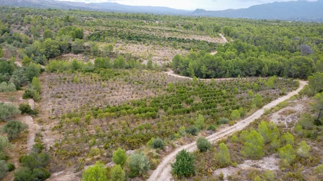 Finca/Landgut zu verkaufen in Aldover - 180.000 € (Ref: 10038546)