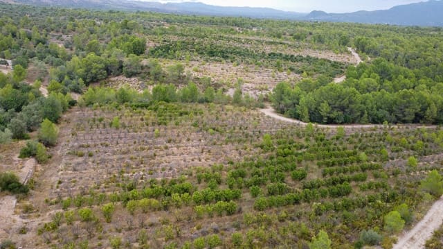Finca/Landgut zu verkaufen in Aldover - 180.000 € (Ref: 10038546)