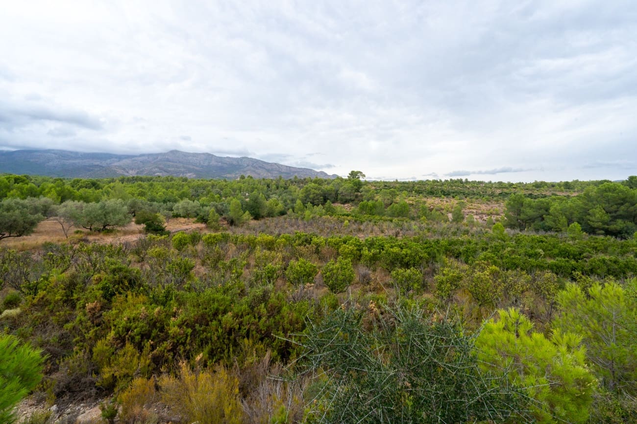 Finca/Landgut zu verkaufen in Aldover - 180.000 € (Ref: 10038546)