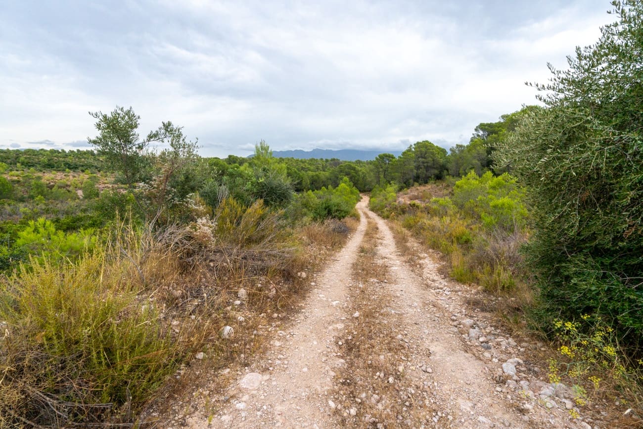Finca/Landgut zu verkaufen in Aldover - 180.000 € (Ref: 10038546)