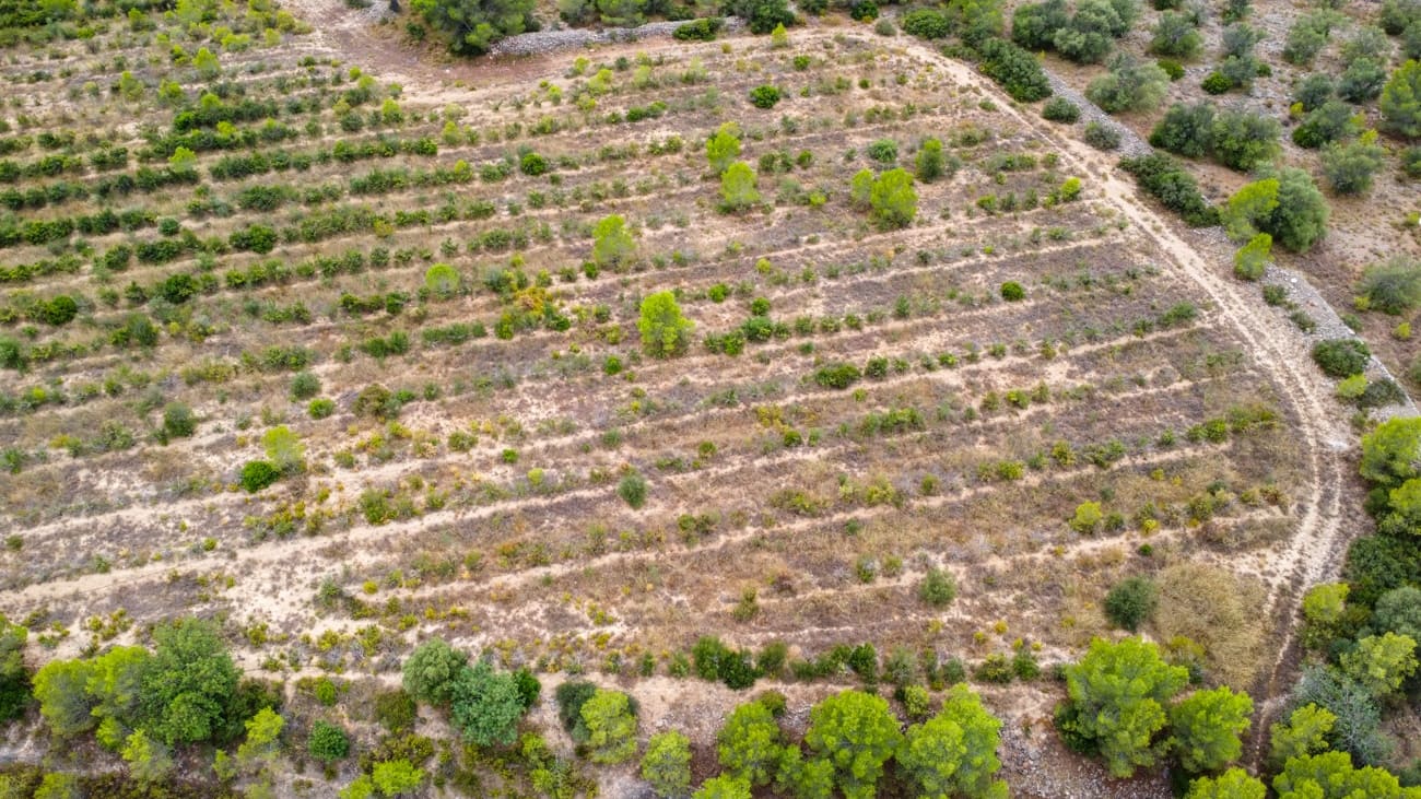 Finca/Landgut zu verkaufen in Aldover - 180.000 € (Ref: 10038546)