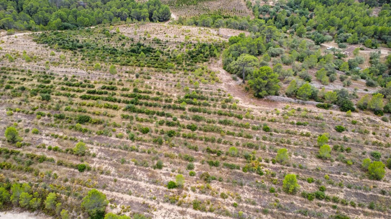 Finca/Landgut zu verkaufen in Aldover - 180.000 € (Ref: 10038546)