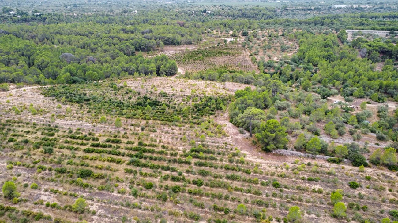 Finca/Landgut zu verkaufen in Aldover - 180.000 € (Ref: 10038546)