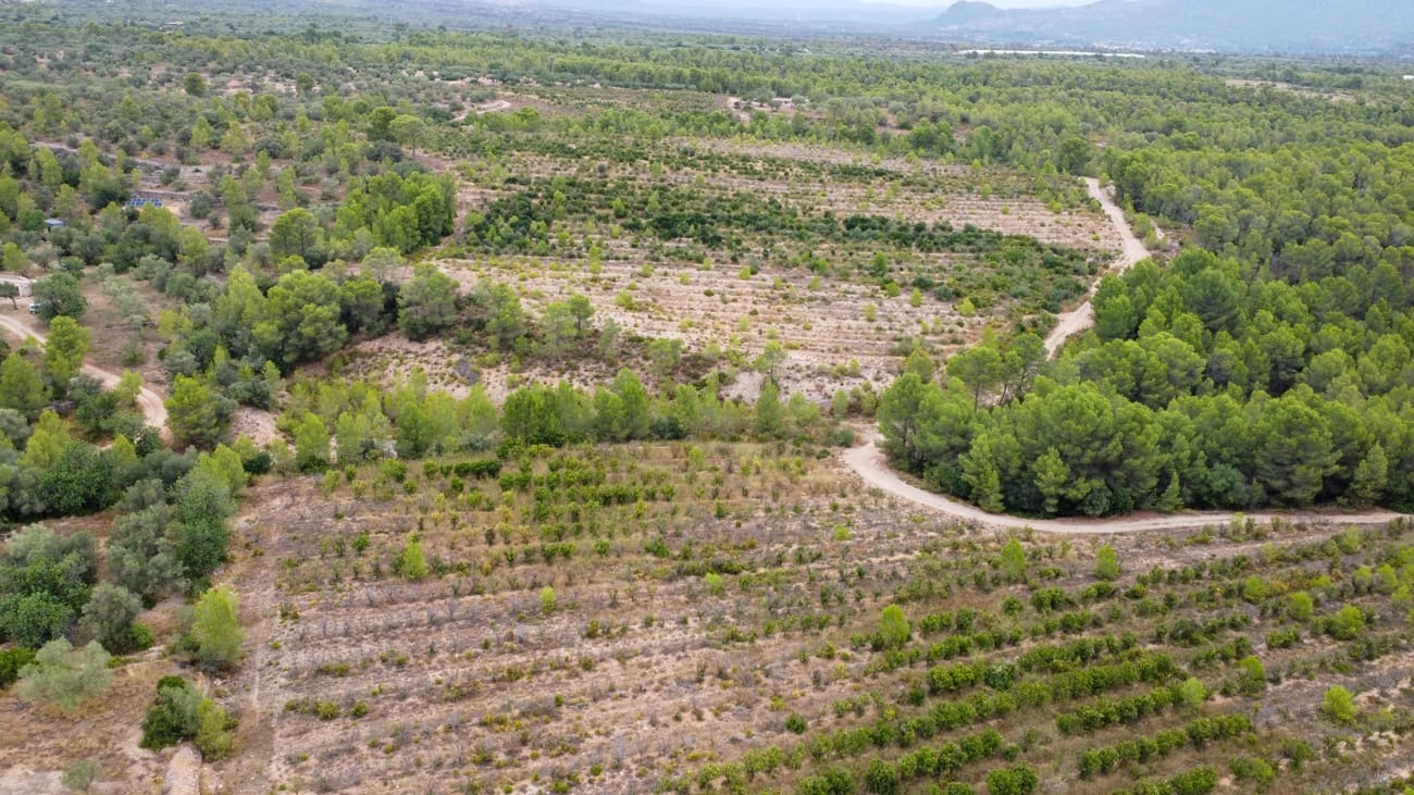 Finca/Landgut zu verkaufen in Aldover - 180.000 € (Ref: 10038546)