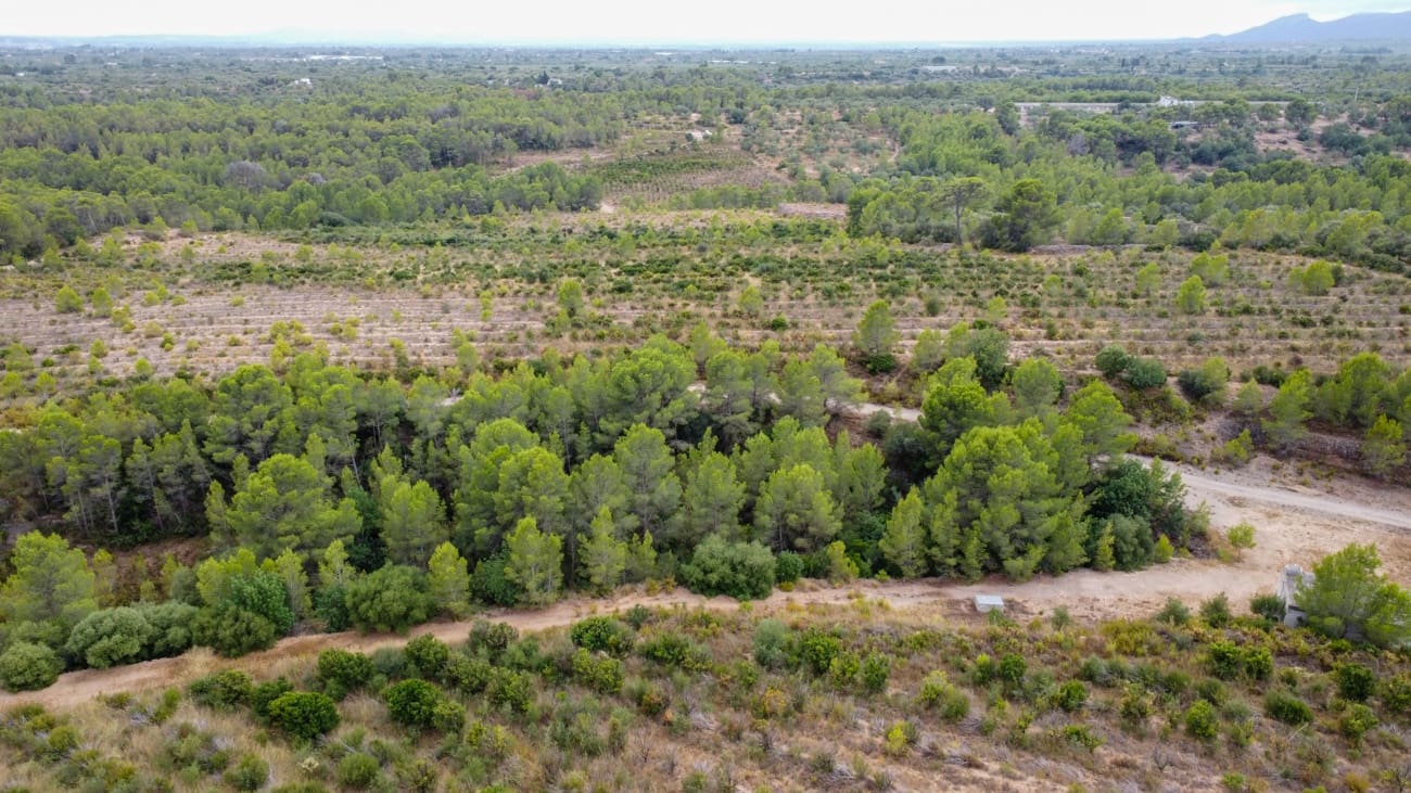 Finca/Landgut zu verkaufen in Aldover - 180.000 € (Ref: 10038546)