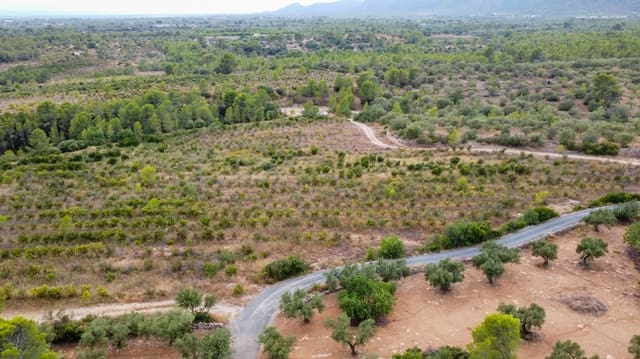 Finca/Landgut zu verkaufen in Aldover - 180.000 € (Ref: 10038546)