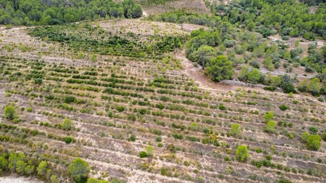 Finca/Landgut zu verkaufen in Aldover - 180.000 € (Ref: 10038546)