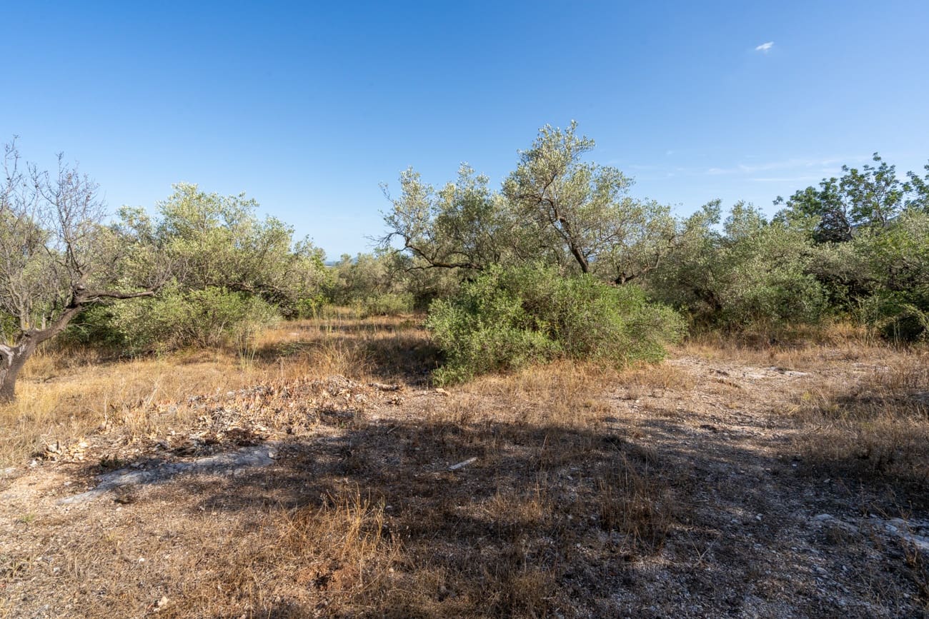 Finca/Maison de Campagne à vendre à Roquetes - 70 000 € (Ref: 10038955)